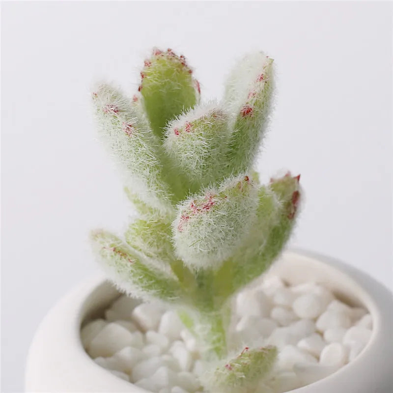 Artificial Plants Suculentas for Home Decor Fake Cactus Decoration Plantas Artificiales Home Decor Green Succulent High Quality