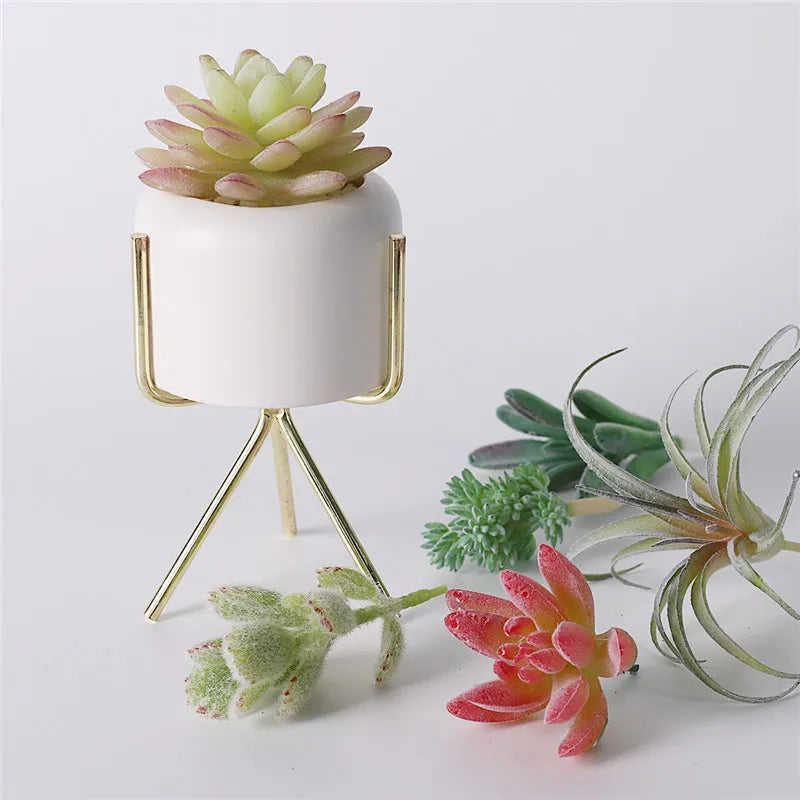 Artificial Plants Suculentas for Home Decor Fake Cactus Decoration Plantas Artificiales Home Decor Green Succulent High Quality