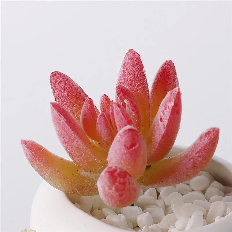 Artificial Plants Suculentas for Home Decor Fake Cactus Decoration Plantas Artificiales Home Decor Green Succulent High Quality