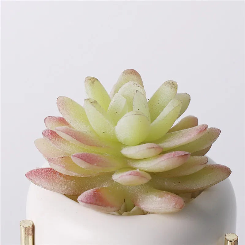 Artificial Plants Suculentas for Home Decor Fake Cactus Decoration Plantas Artificiales Home Decor Green Succulent High Quality