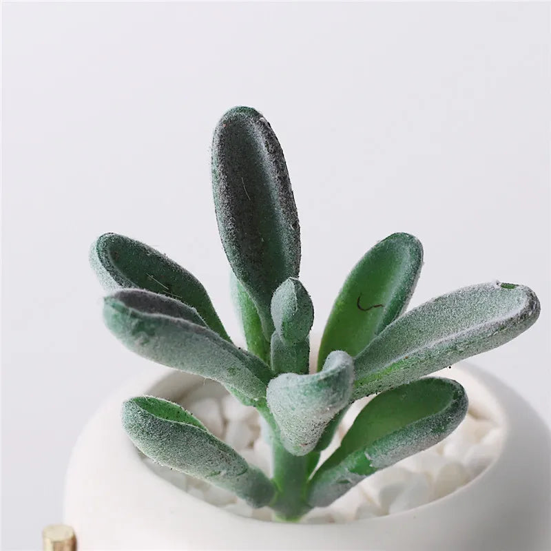 Artificial Plants Suculentas for Home Decor Fake Cactus Decoration Plantas Artificiales Home Decor Green Succulent High Quality