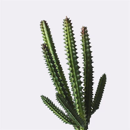 Artificial Plants Suculentas for Home Decor Fake Cactus Decoration Plantas Artificiales Home Decor Green Succulent High Quality