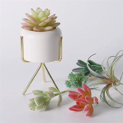 Artificial Plants Suculentas for Home Decor Fake Cactus Decoration Plantas Artificiales Home Decor Green Succulent High Quality