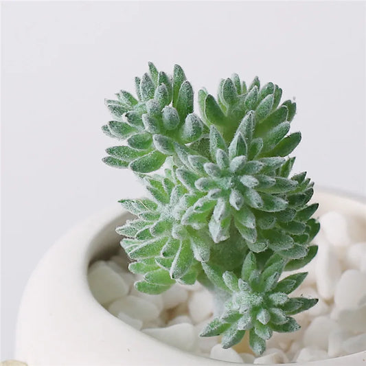 Artificial Plants Suculentas for Home Decor Fake Cactus Decoration Plantas Artificiales Home Decor Green Succulent High Quality