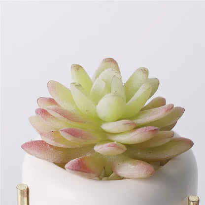 Artificial Plants Suculentas for Home Decor Fake Cactus Decoration Plantas Artificiales Home Decor Green Succulent High Quality